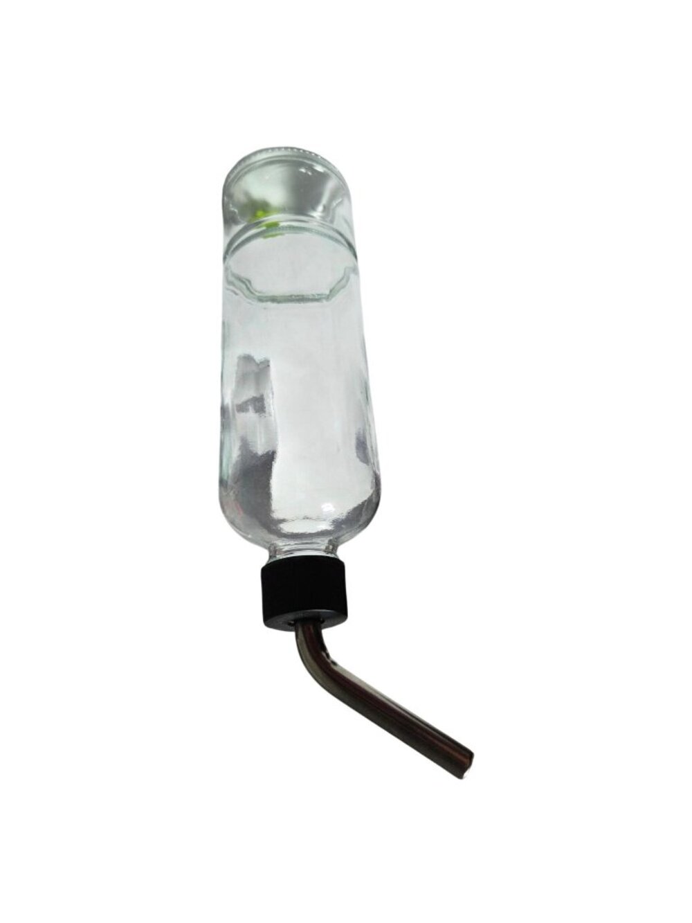 Glass Water Bottle Stainless Steel Straw Green Turtle Float Small Animal